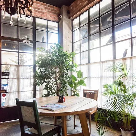 Sub Karakoy - Special Category