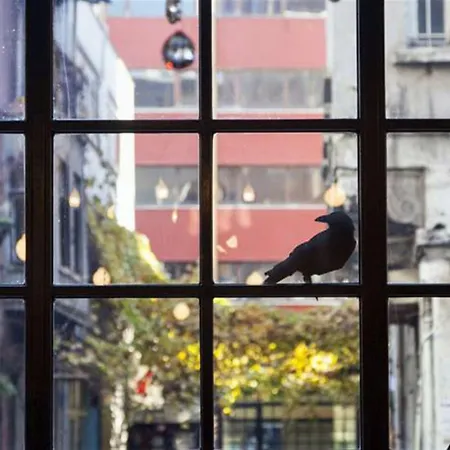 Sub Karakoy - Special Category Hotel 4*