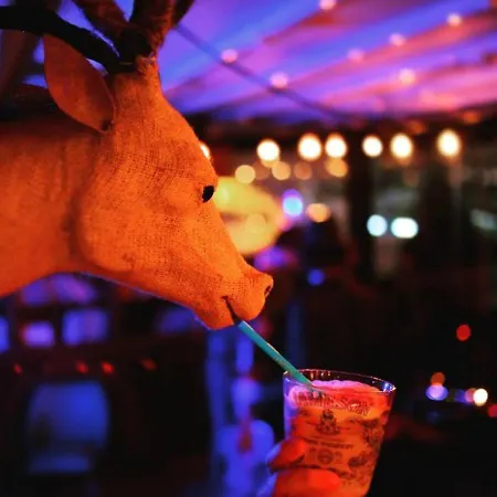 Hotel Sub Karakoy - Special Category